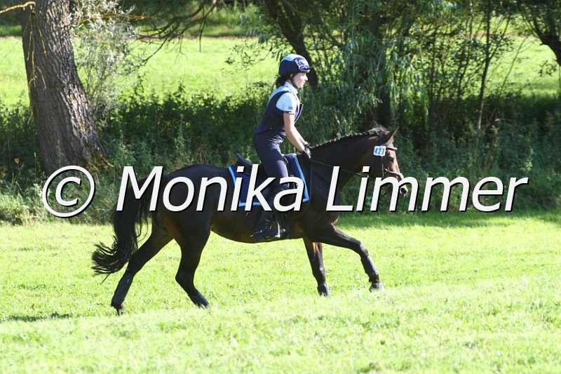 109M7888_Divara_Stilgelaende A.JPG